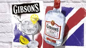 gin gibson - composition - fizz
